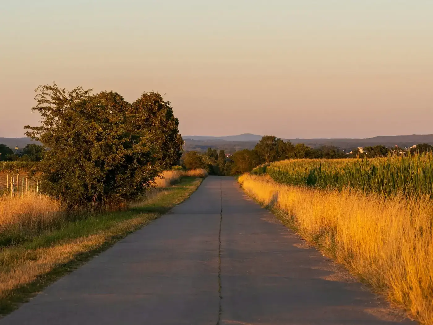 Feldweg durch eine weite Landschaft im goldenen Abendlicht