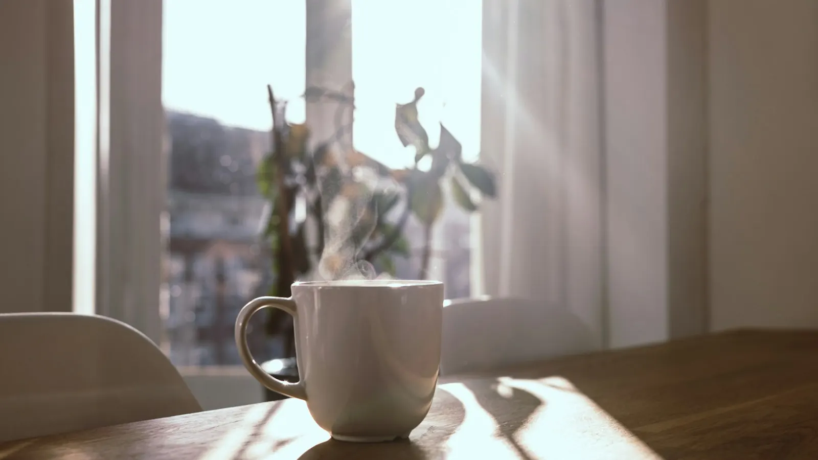 Dampfende weiße Tasse auf einem Holztisch vor einem sonnenbeschienenen Fenster mit Zimmerpflanze