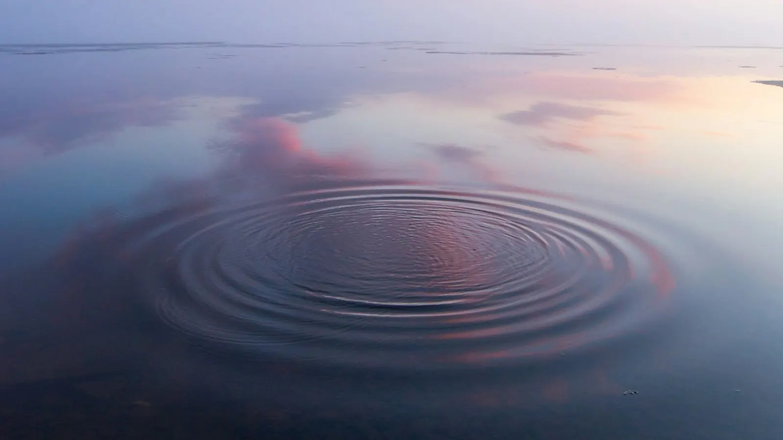 Konzentrische Wellenringe auf einer spiegelglatten Wasserfläche im Morgenlicht