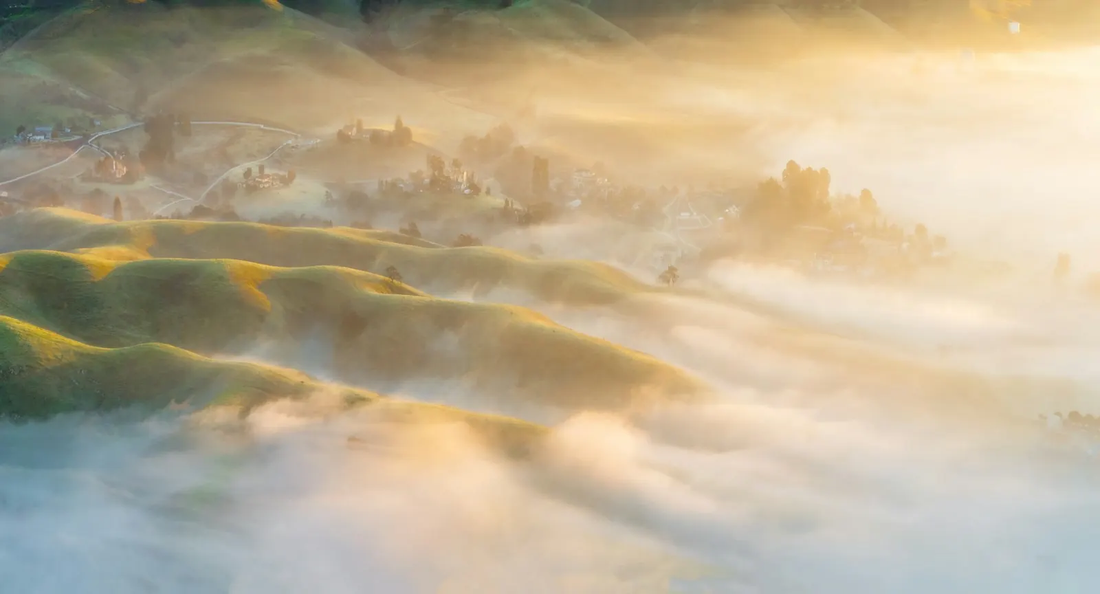 Sanfte Hügel im Morgennebel, von warmem Sonnenlicht durchzogen