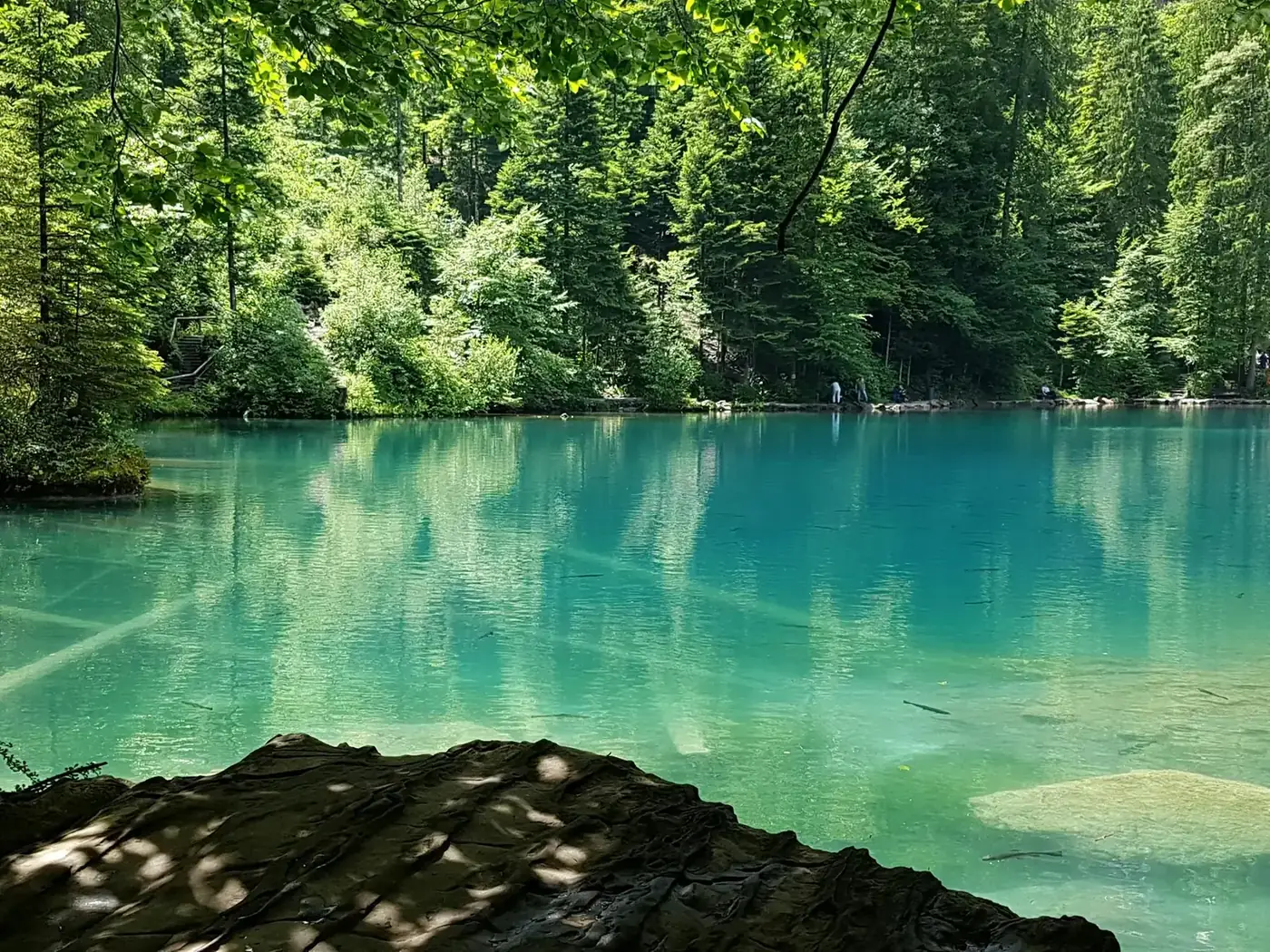Klarer türkisfarbener Bergsee vor dichtem Nadelwald